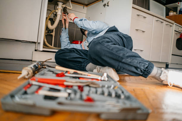 Best Plumbing Services Near Me  in Freeman, SD