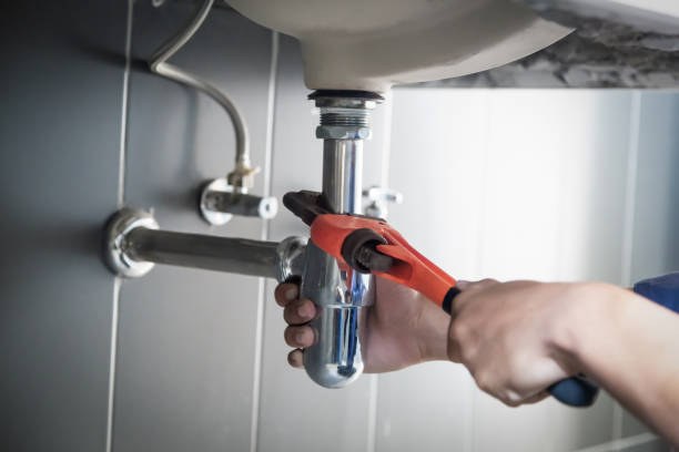 Best Local Plumber Services  in Freeman, SD