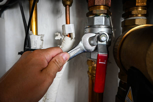 Best Plumbing Services Near Me  in Freeman, SD